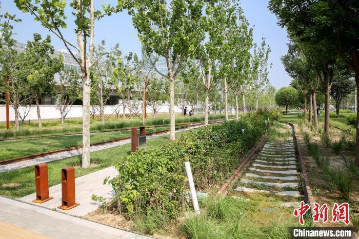 kaiyun网站北京今年计划新增造林绿化1万亩 打造100条“城市画廊”(图2)