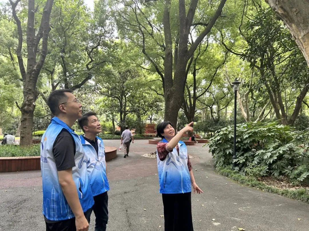 徐汇区唯一!“自律”的市容环境究竟有多美?kaiyun开云网站 Kaiyun开云(图2)