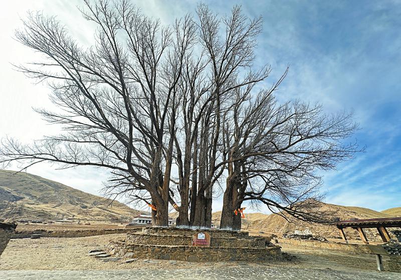 Kaiyun网址 开云2023年四川省国土绿化公报发布 数据解码四川“绿”意(图5)
