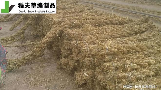 边坡绿化新选择 护坡草棒Kaiyun网址 开云的施工与养护(图1)