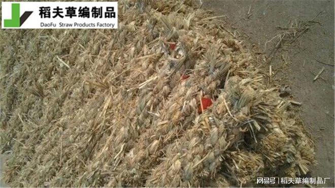 边坡绿化新选择 护坡草棒Kaiyun网址 开云的施工与养护(图2)