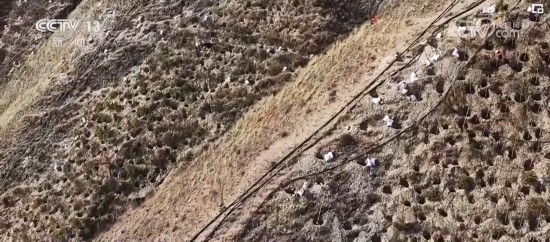 kaiyun网站青山拥南北、绿水绕古城 科技助力高原绿化 美丽西藏添新活力(图3)