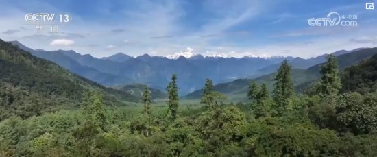kaiyun网站青山拥南北、绿水绕古城 科技助力高原绿化 美丽西藏添新活力(图8)
