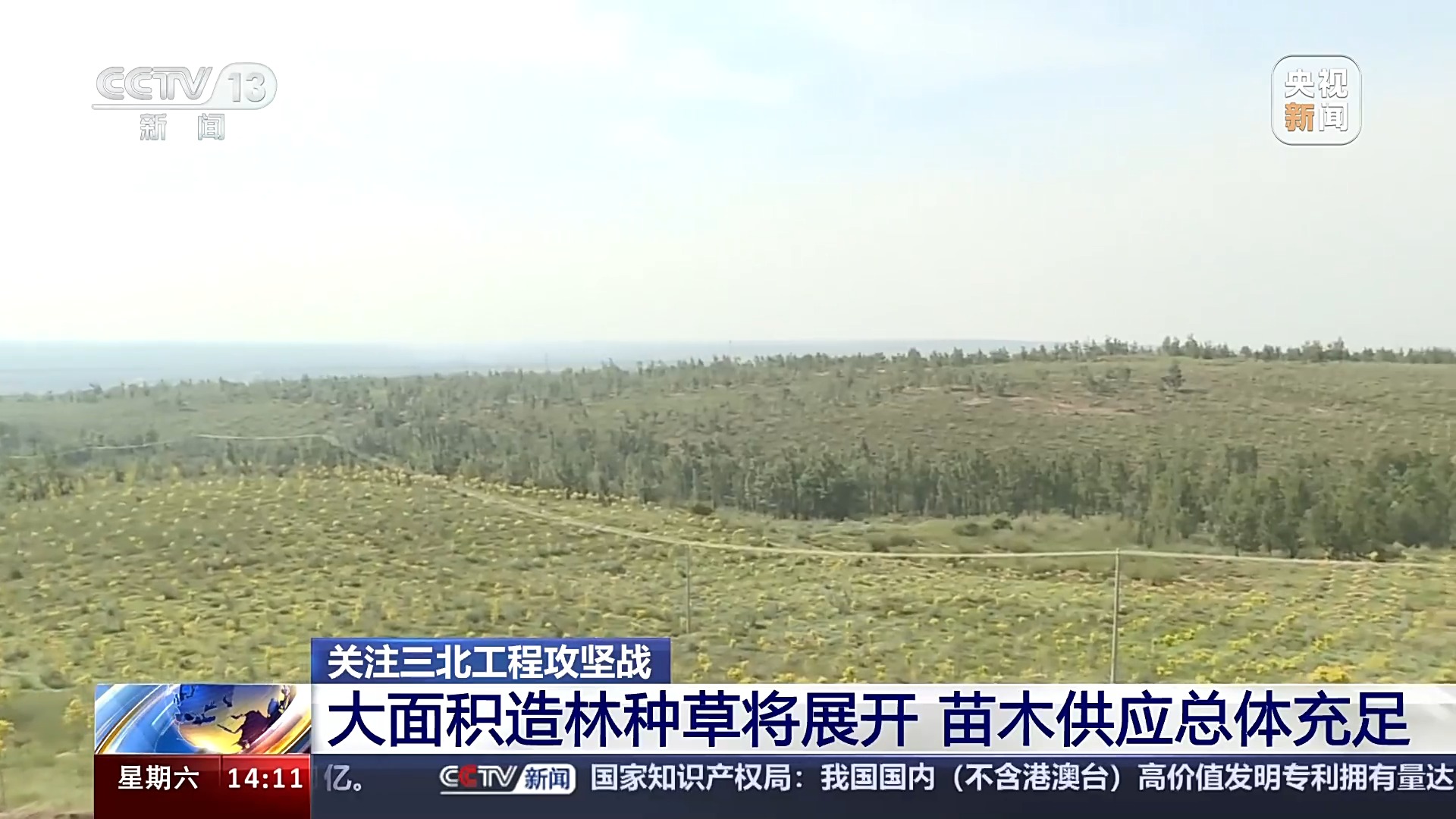 KAIYUN网页 开云com科学绿化、合理配置 良种壮苗“助阵”三北工程攻坚战(图2)
