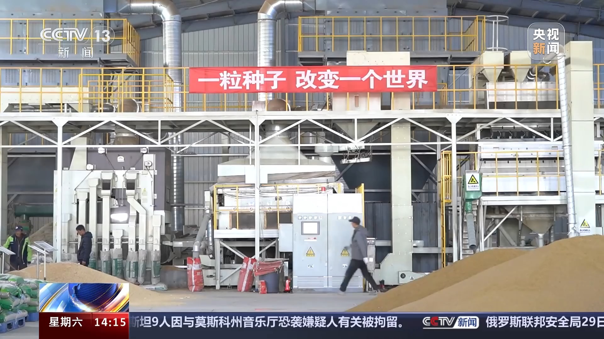 KAIYUN网页 开云com科学绿化、合理配置 良种壮苗“助阵”三北工程攻坚战(图8)