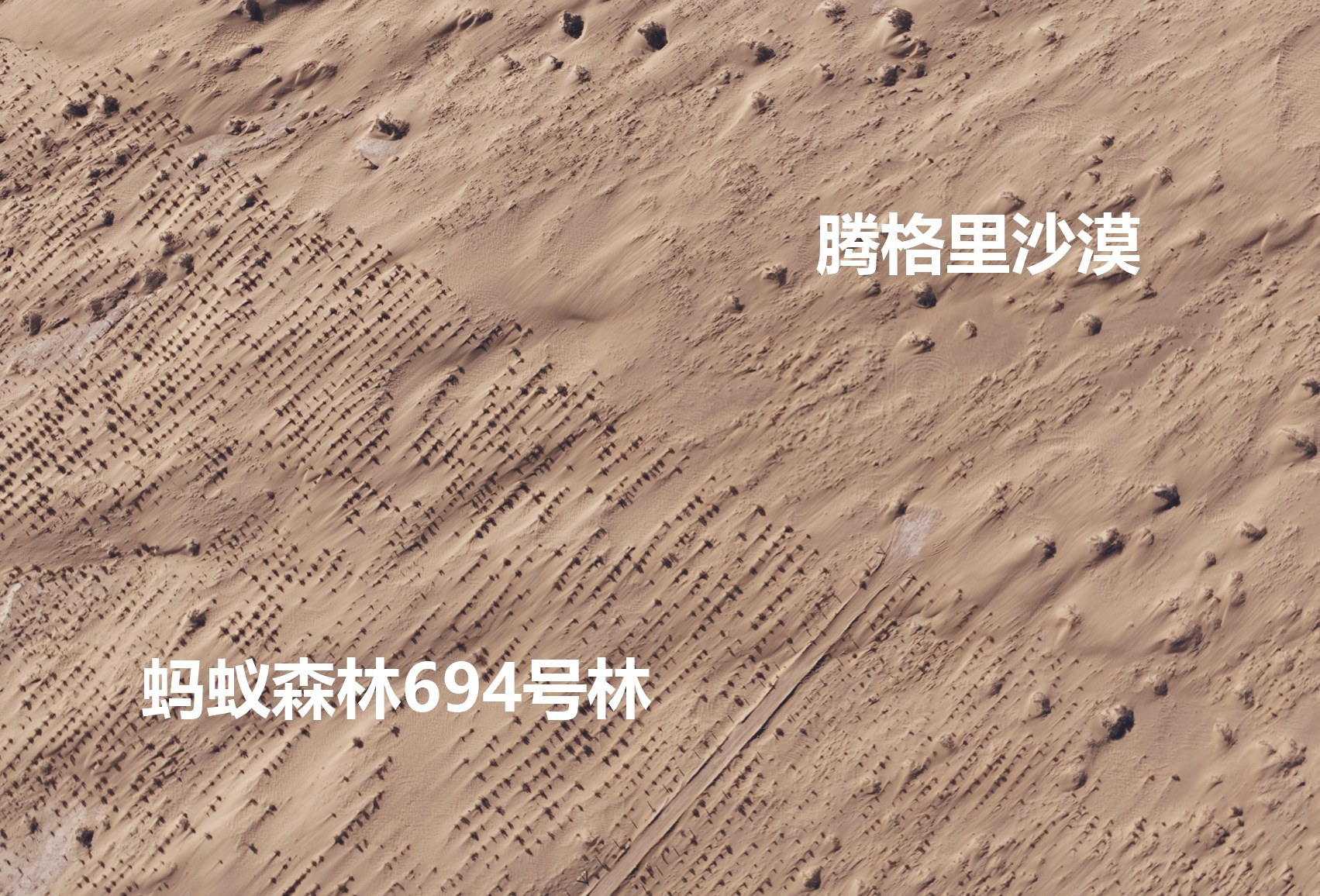 为甘肃治沙再捐1亿元:蚂蚁森林9成种在“三北”工程攻坚地区(图5)