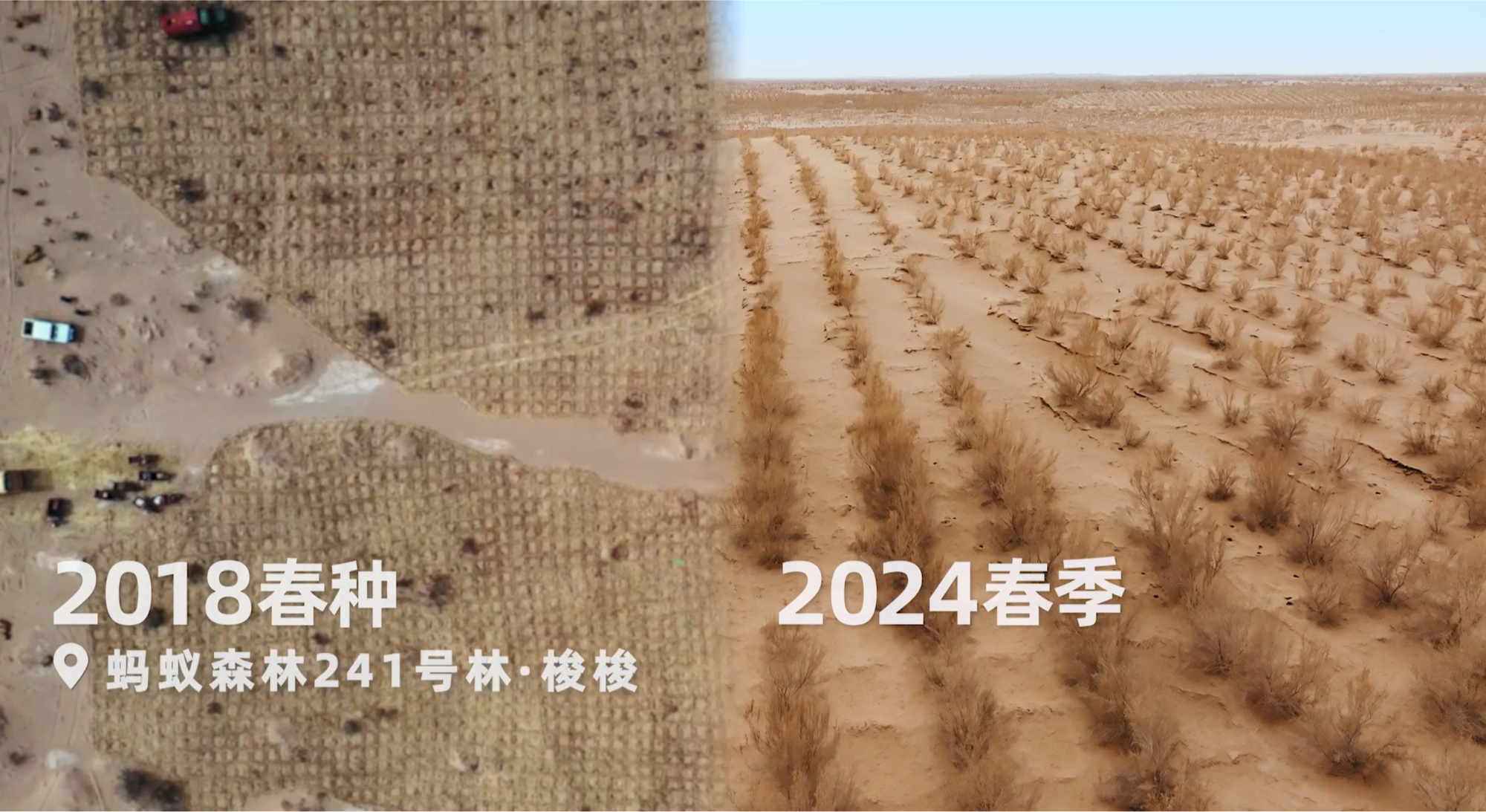 为甘肃治沙再捐1亿元:蚂蚁森林9成种在“三北”工程攻坚地区(图6)