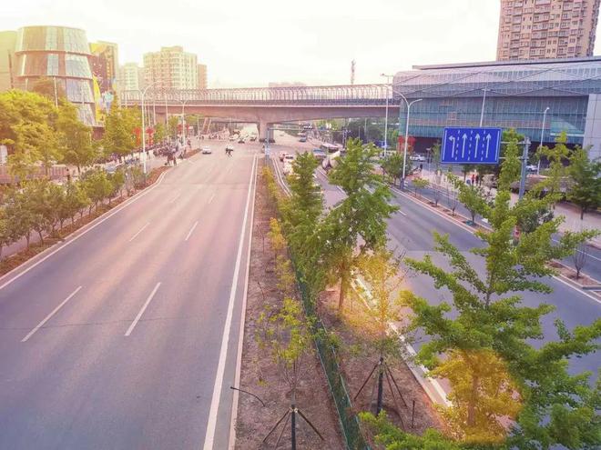 来门头沟走花路门头沟公路分局实施108国道辅线绿化工程(图1)