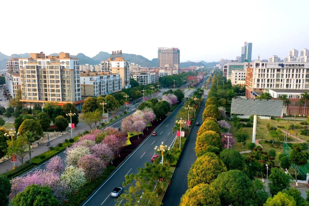 《崇左市城市绿化管理办法》公布自7月1日起施行(图2)