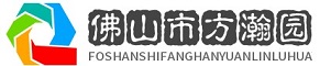 开云官方网站
