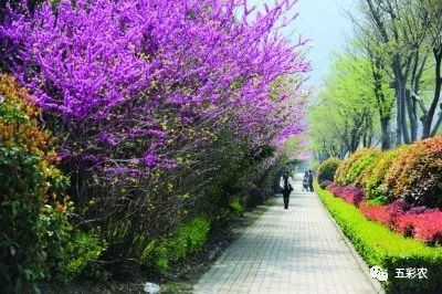 教你如何做乡村景观的设计与规划(图7)
