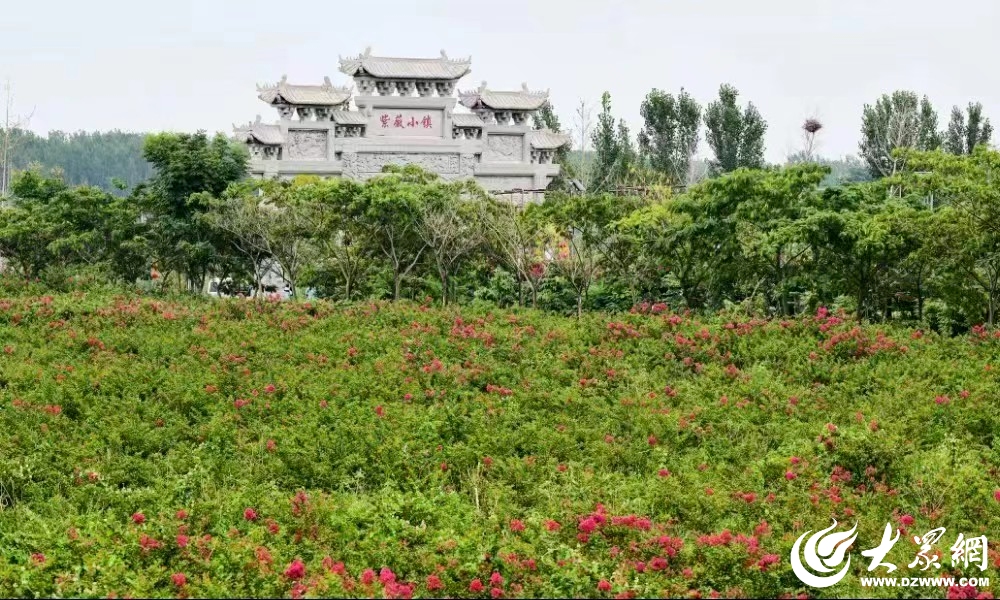 打造文旅发展新引擎 2023年济宁市文化旅游重点项目巡礼举行(图4)