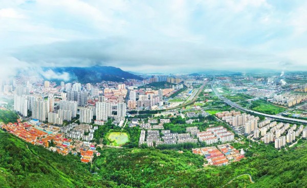 连云港计划2023年完成绿化造林20850亩(图2)