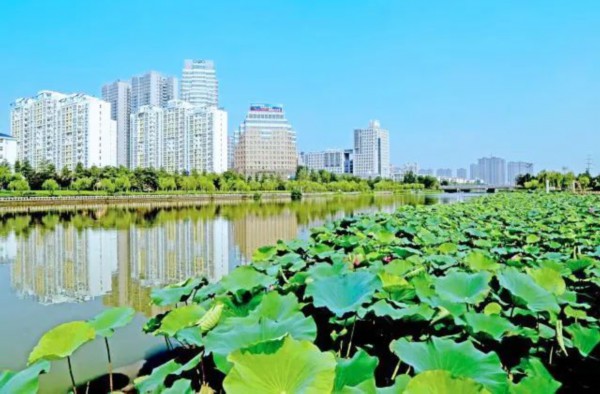连云港计划2023年完成绿化造林20850亩(图5)