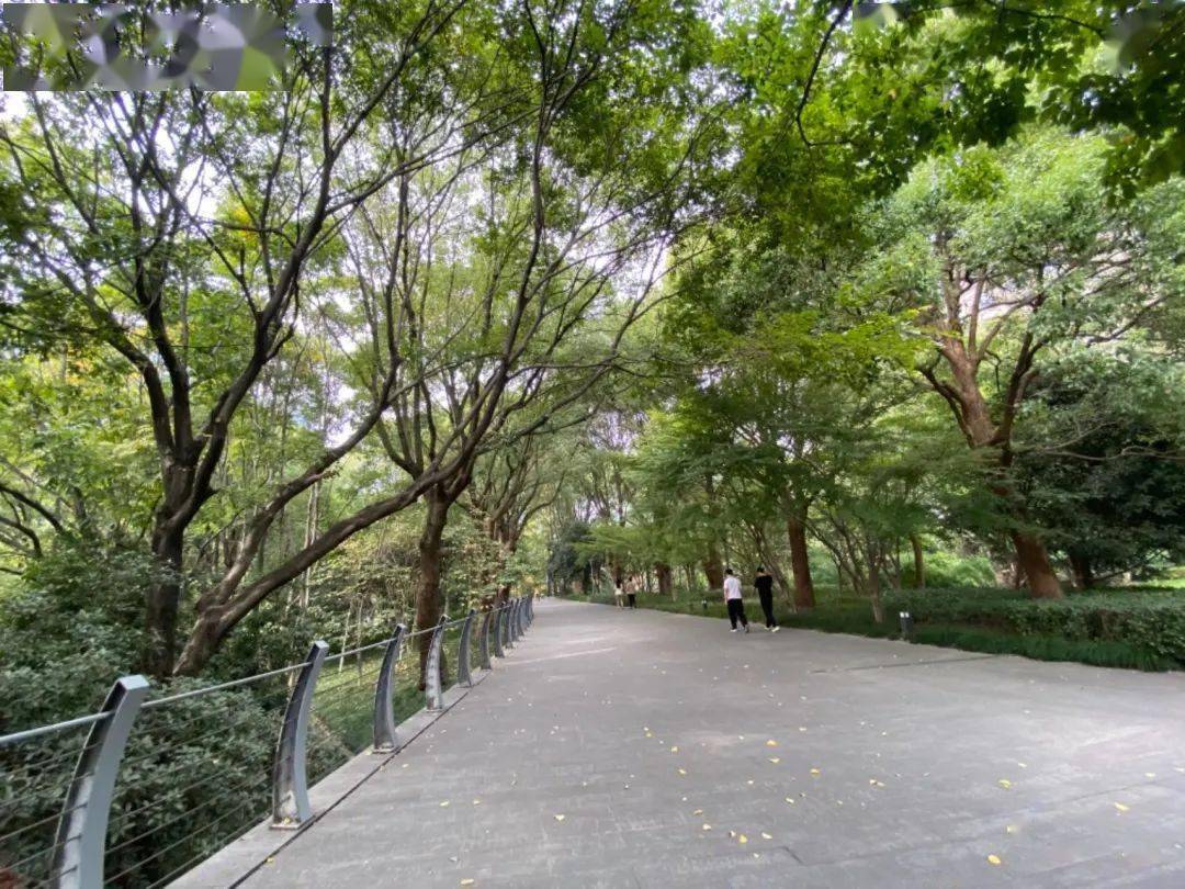 Kaiyun网址 开云打卡地上新!适合一日游的钱江新城景点(图11)