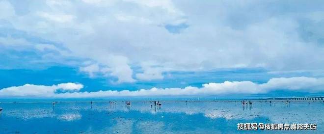 KAIYUN网页 开云com上海临港上实听海官方网站丨上实听海欢迎您|103片区一线海景房(图4)
