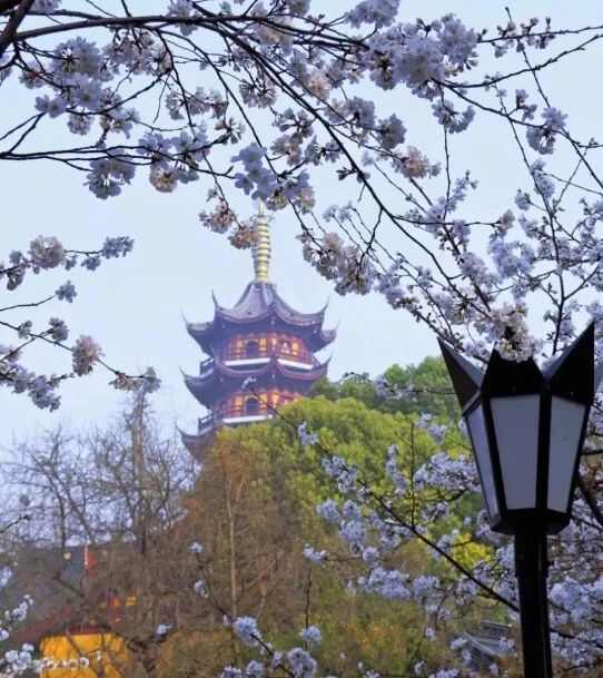 园林景观设计的九种方法 实战干货分享Kaiyun网址 开云(图11)