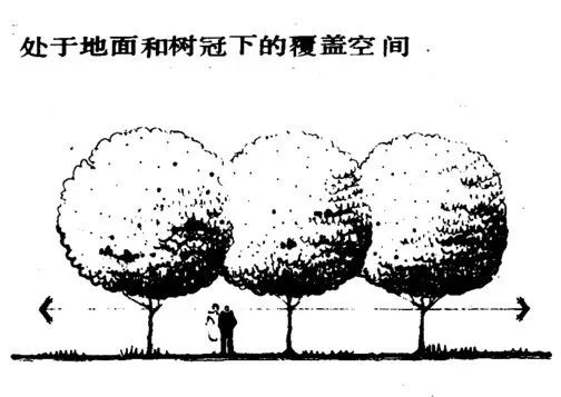 园林景观设计的九种方法 实战干货分享Kaiyun网址 开云(图24)