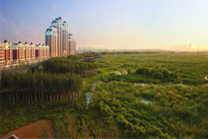KAIYUN网页 开云com2012景观中国年度盘点(图11)