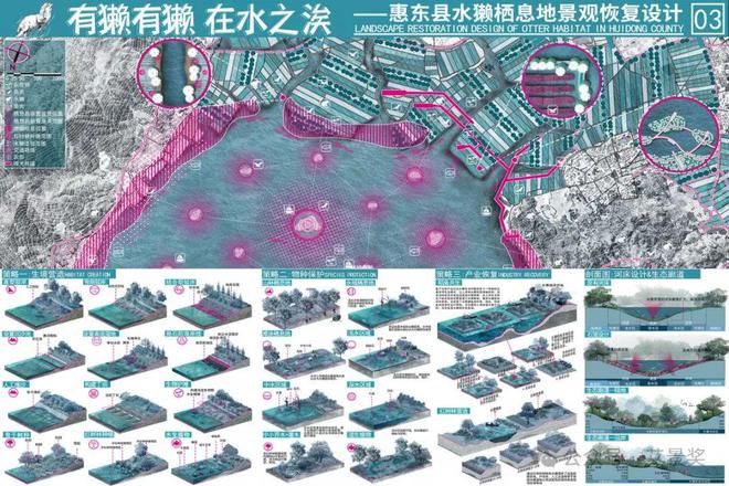 Kaiyun网址 开云银奖作品 水獭水獭 · 在水之涘——基于惠东县栖息地景观恢复设计(图3)