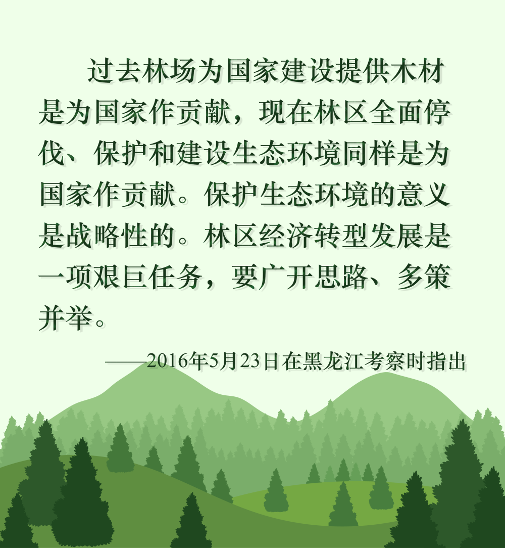 kaiyun开云网站 Kaiyun开云镜观·回响丨十年停伐 绿海生“金”(图3)