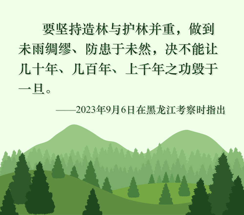 kaiyun开云网站 Kaiyun开云镜观·回响丨十年停伐 绿海生“金”(图5)