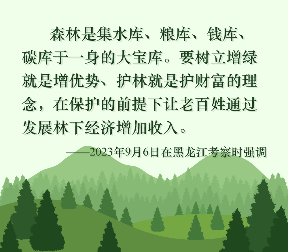 kaiyun开云网站 Kaiyun开云镜观·回响丨十年停伐 绿海生“金”(图7)
