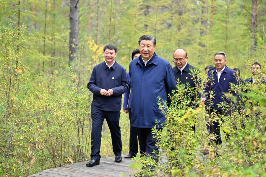 kaiyun开云网站 Kaiyun开云镜观·回响丨十年停伐 绿海生“金”(图6)