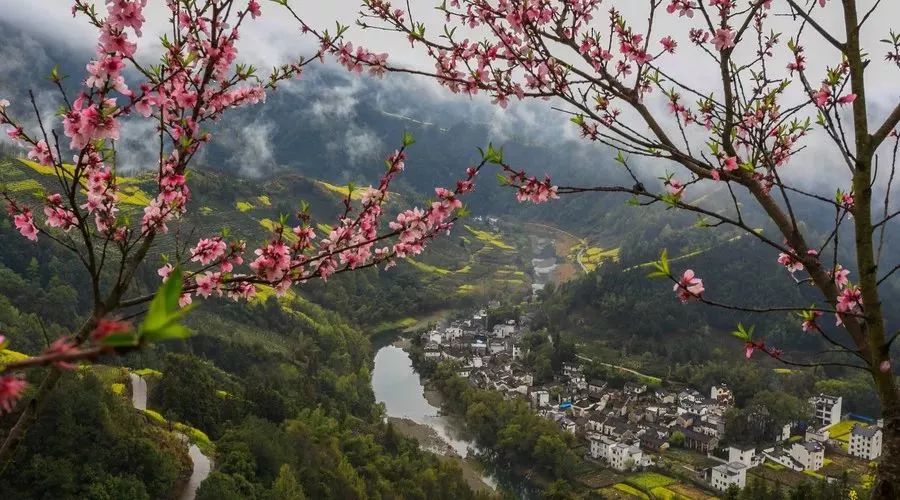 农村的景观设计kaiyun开云网站 Kaiyun开云(图20)