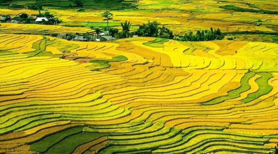 农村的景观设计kaiyun开云网站 Kaiyun开云(图18)