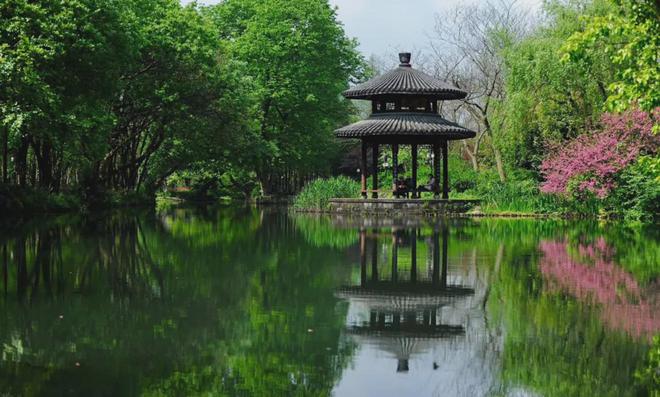 张建庭:西湖植物景观是一幅优美画卷(图5)
