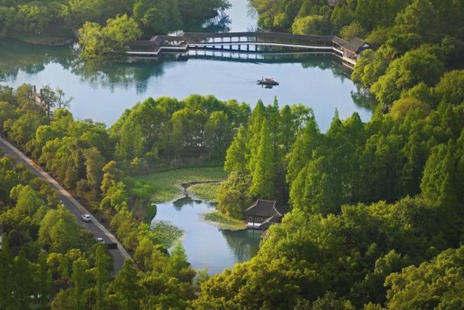张建庭:西湖植物景观是一幅优美画卷(图9)