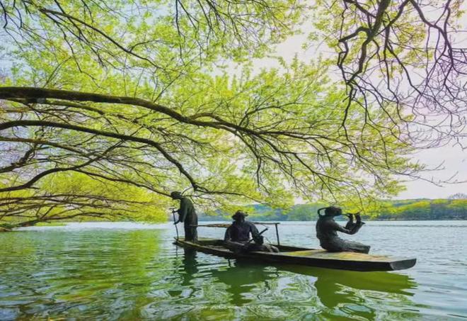 张建庭:西湖植物景观是一幅优美画卷(图7)