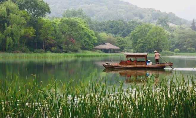 张建庭:西湖植物景观是一幅优美画卷(图8)