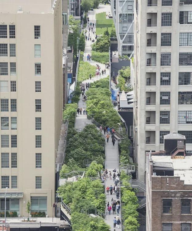 张建庭:西湖植物景观是一幅优美画卷(图12)