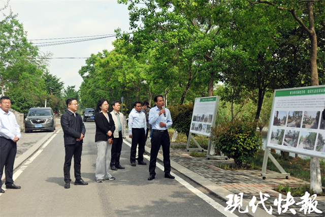开云kaiyun官网造绿增绿!2023年江苏已完成造林绿化178万亩(图3)