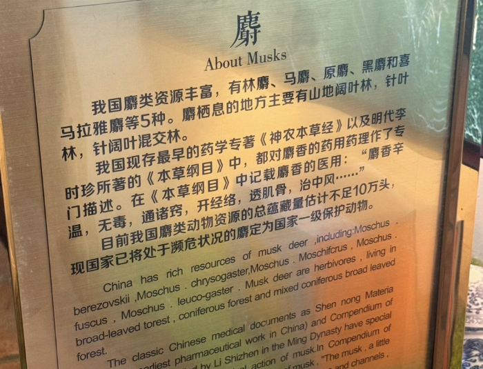 开云kaiyun官方网站厦门大学嘉庚学院“圆洲行动队”探寻圆洲语言景观传唱鹭岛文化之音(图1)