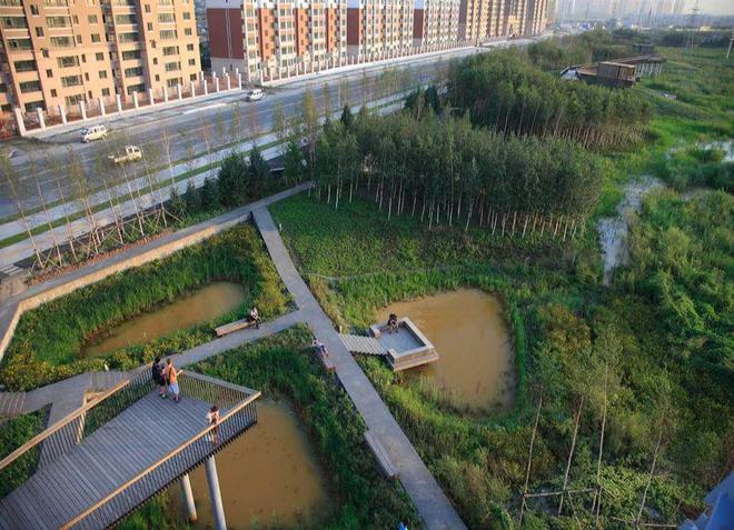 开云kaiyun官方网站环保观察 打造韧性城市探索城市雨洪管理的弹性景观策略(图2)