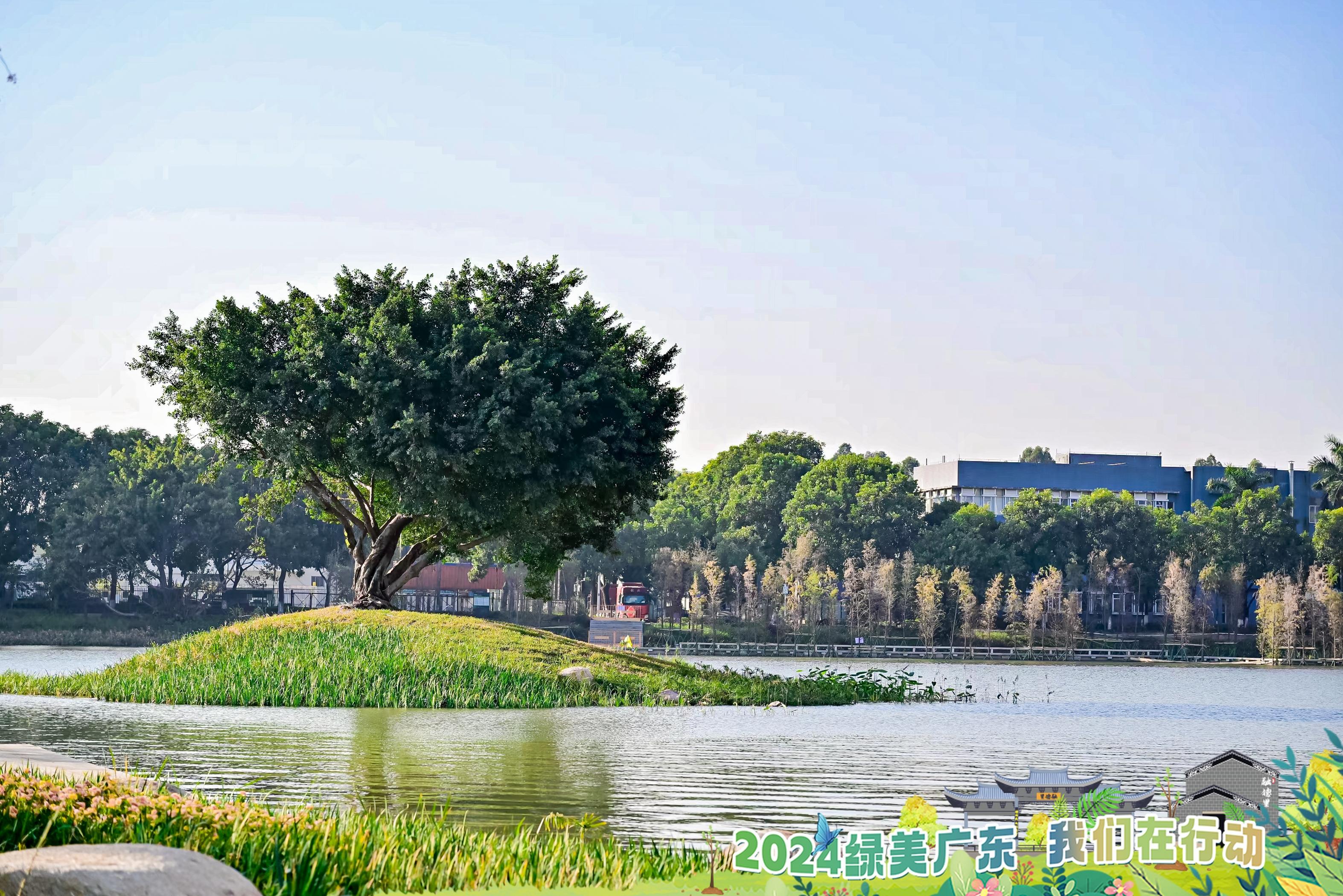 200人为千年古运河沿岸披绿裳2024争做绿美广东守护者义务植树活动举办(图5)